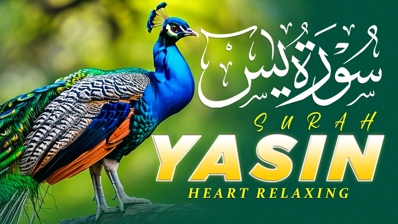 Beautiful Morning Dua For RIZQ & WEALTH | Surah Yasin Full | سورۃ یس  | تلاوة رائعة لسورة يس