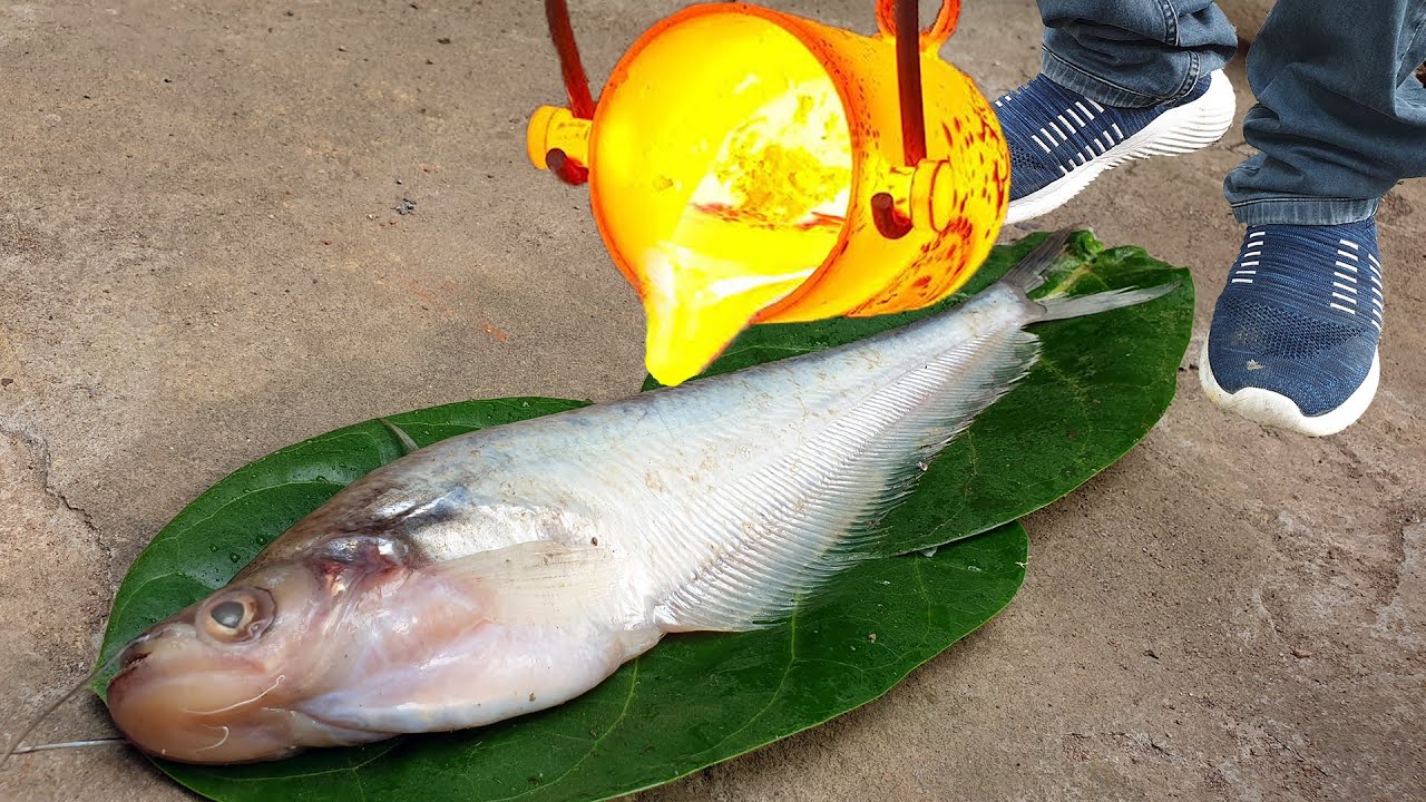 Indian CATFISH Cooked With 1500 Degree LAVA - Village Cooking Experiment