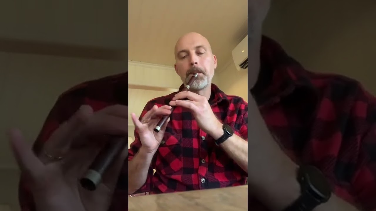 Last of the Mohicans theme- The Gael by Dougie McLean on my McManus tin whistle in C