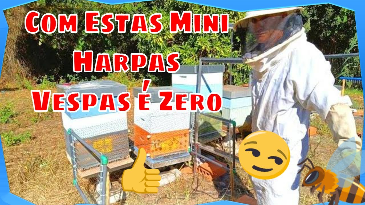 Com Estas Mini Harpas Vespas é Zero #yutube_videos  #vespaasiática #minarpa @euclidessantanasantana