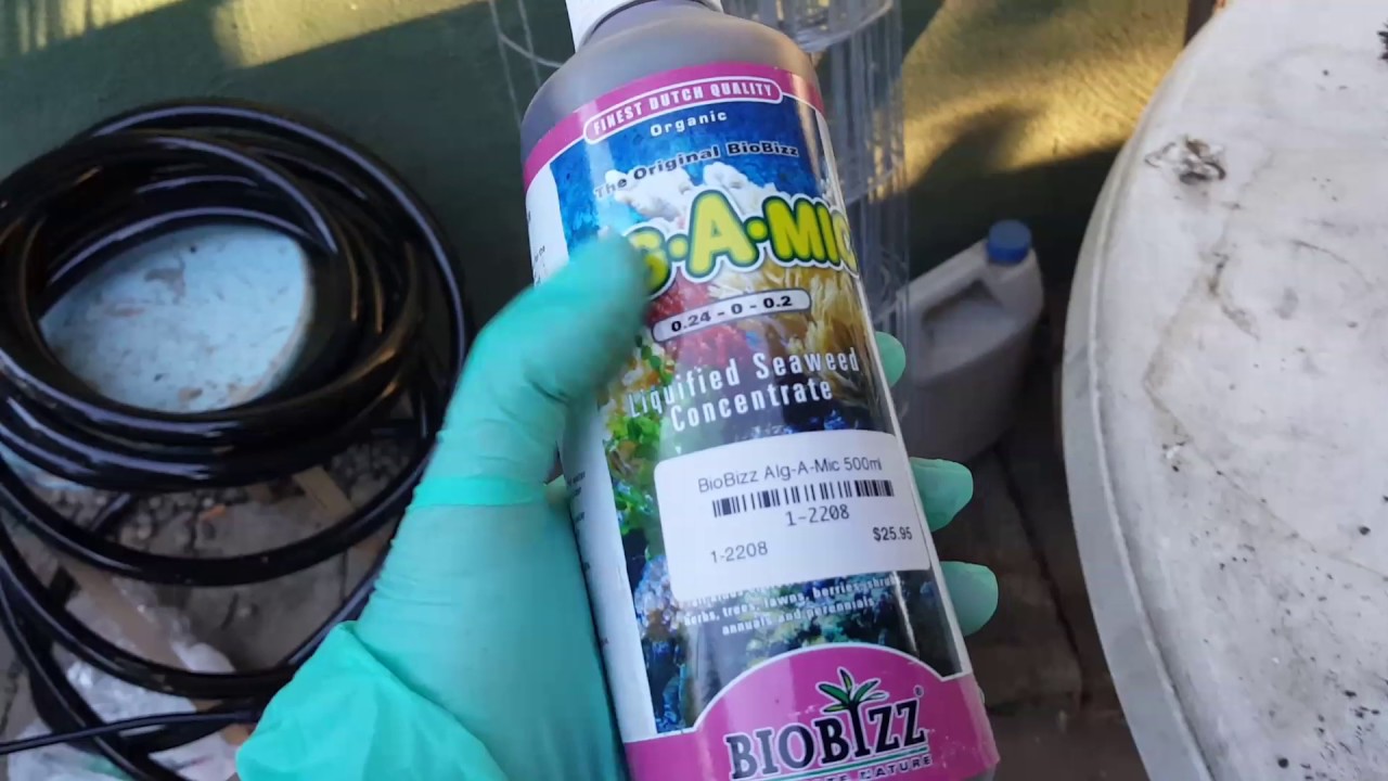 Outdoor grow 2017 (secret nutrients) must see