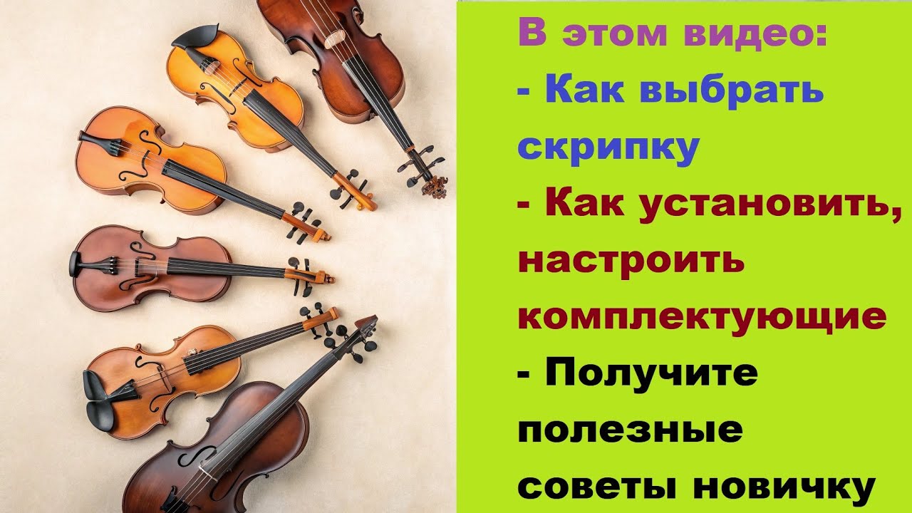 Как выбрать скрипку и подготовить её к игре | Полный гайд для новичков