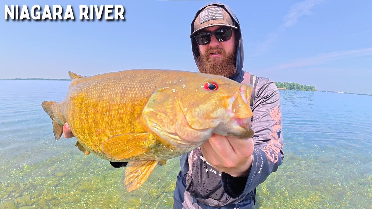 Clear Water BIG Bass - Niagara River Fishing