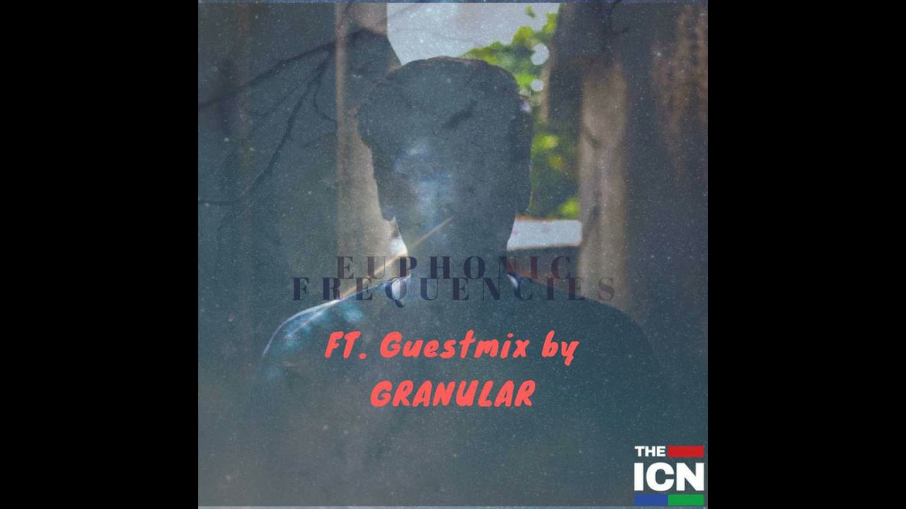 Euphonic Frequencies Episode 36 FT. Guest Mix By Granular