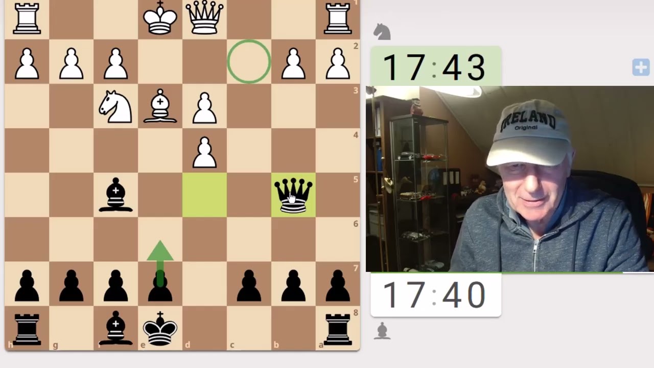 live Erfahrungen mit meiner Mungo-Strategie