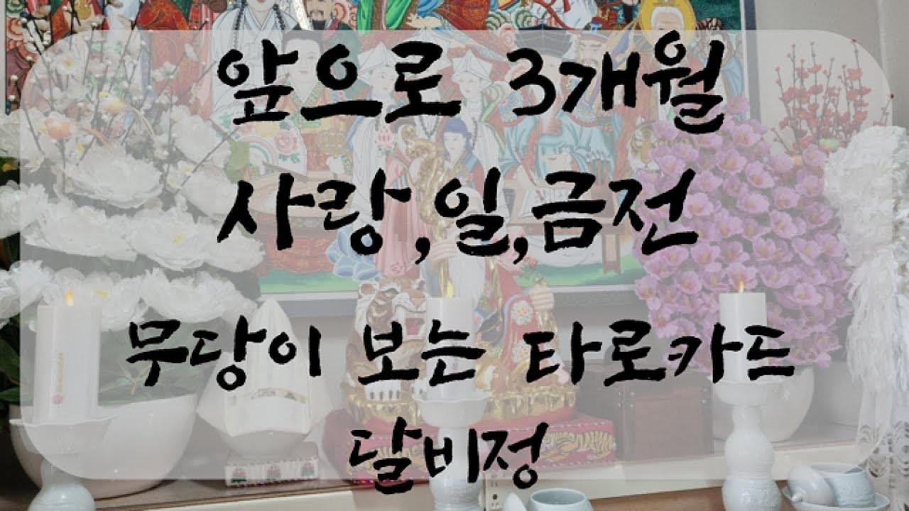 3개월의 변화 금전,사랑,일,생활 초반 중반 후반 #타로리딩 #타로상담 #사주상담 #연애운 #금전운 #재회운 #달비정