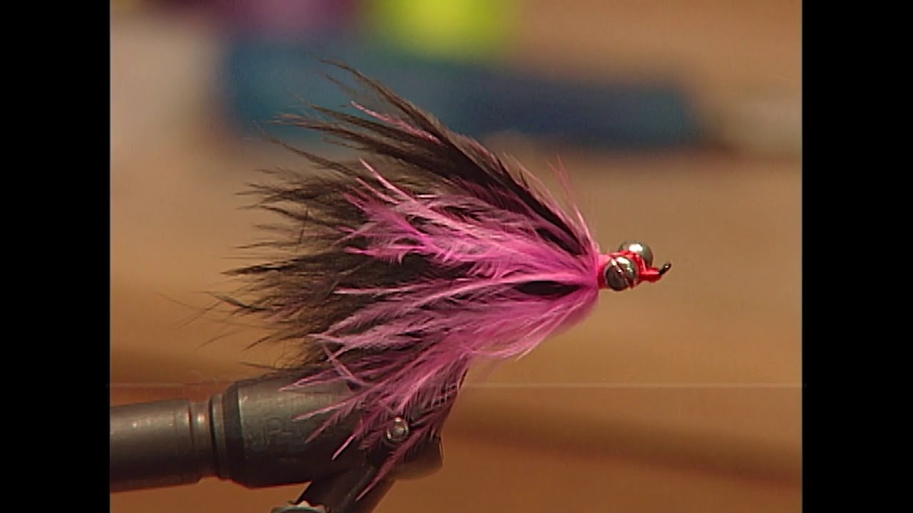 BEGINNER FLY TYING: DON'S SUMMER STEEL