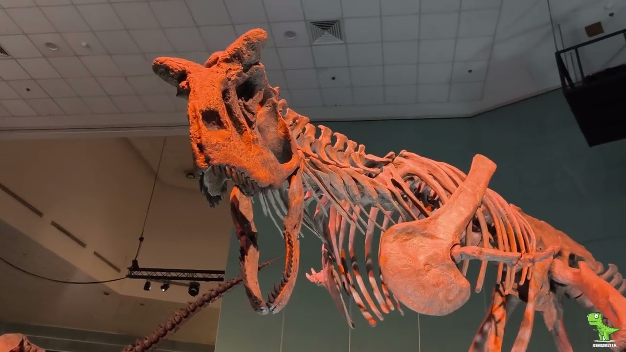 Dinosaurs, Extinctions, Us- Feat. Scotty the T-Rex, Patagotitan | Singapore Science Centre