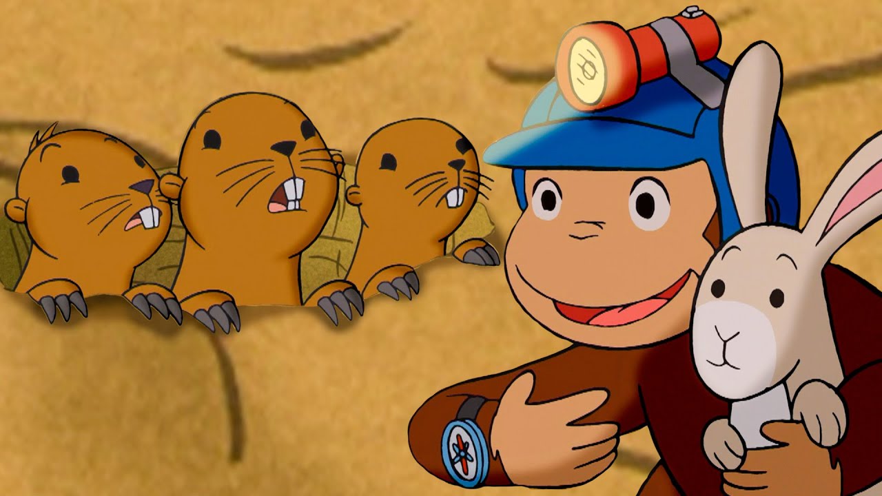 A Fuga dos Gophers! 🐵 George, o Curioso 🐵 Desenhos Animados