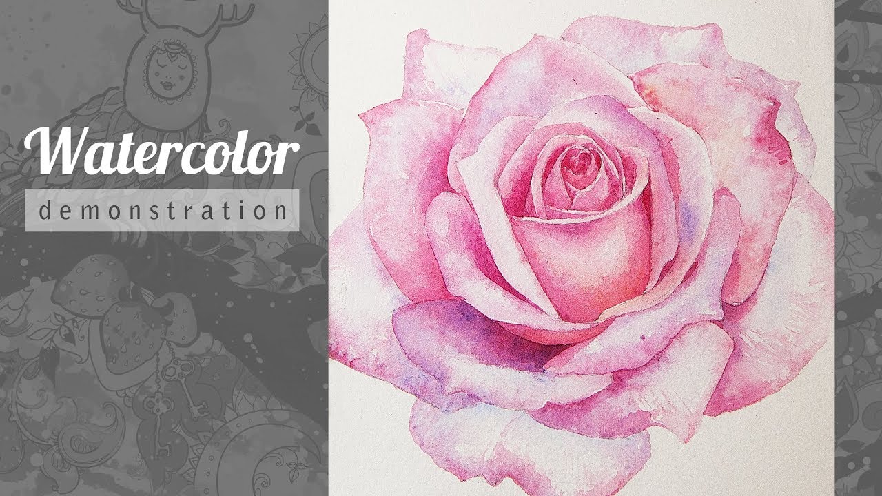 Painting a Pink Rose Watercolor.