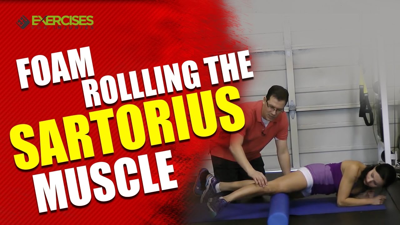Foam Rollling the Sartorius Muscle