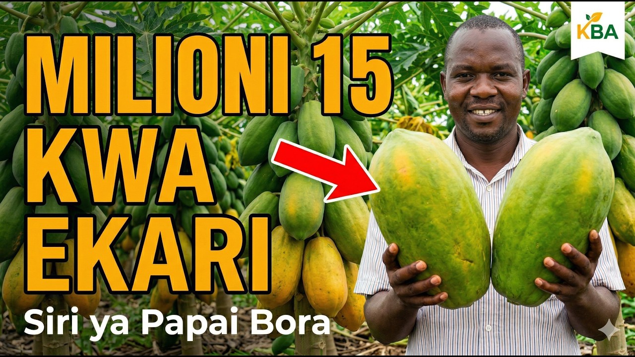 Kilimo cha Papai