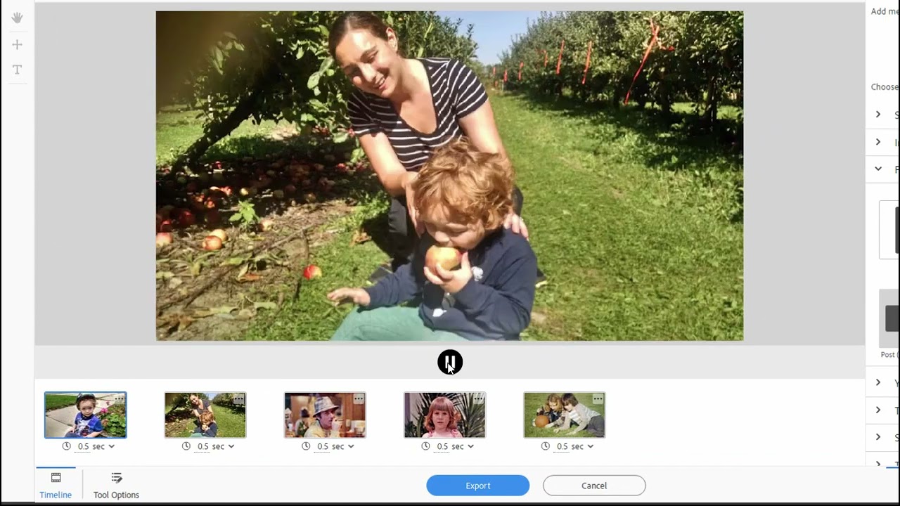 Creating Photo Reels in Photoshop Elements 2024