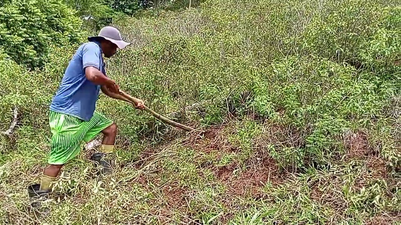 Jogando duro na destoca