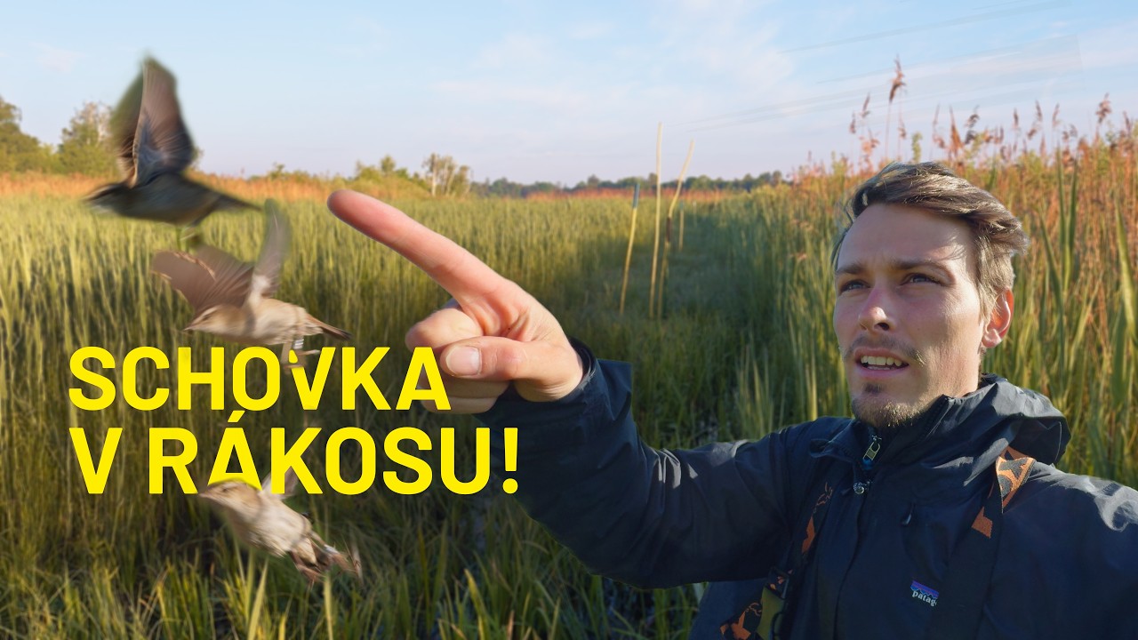 Žije někdo v rákosinách?