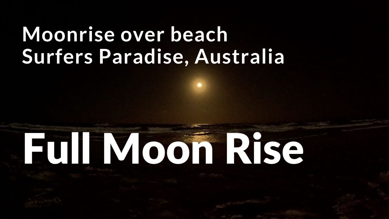 Moonrise beach 4K