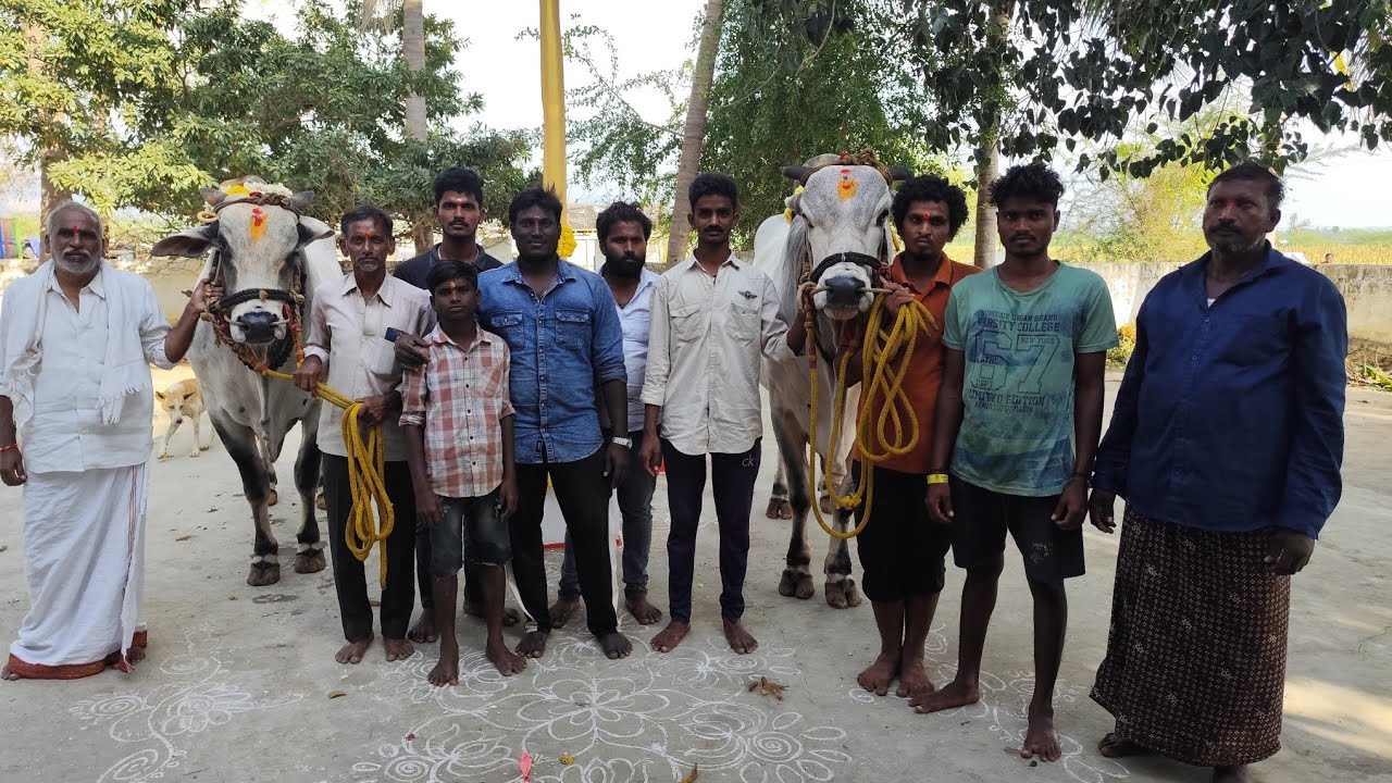 21/02/2026 చింతకాయల పల్లి ఓల్డ్ క్యాటగిరి విభాగంలో విజేతలు 🥇🏆🎉
