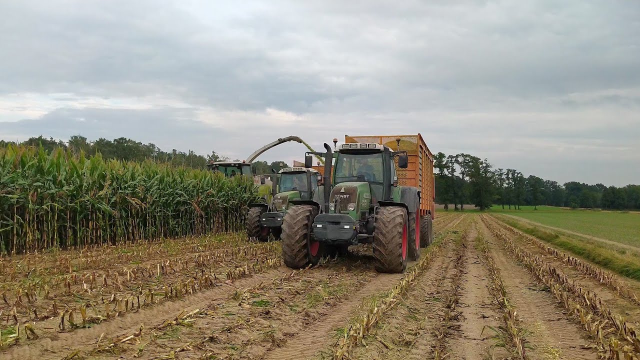🔥Kukurydza na kiszonkę z DYLIK Usługi rolnicze 2021!🔥2x Fendt 820 Vario & Claas Jaguar 840🔥AgroRogoś