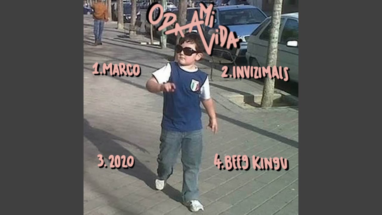 INVIZIMALS