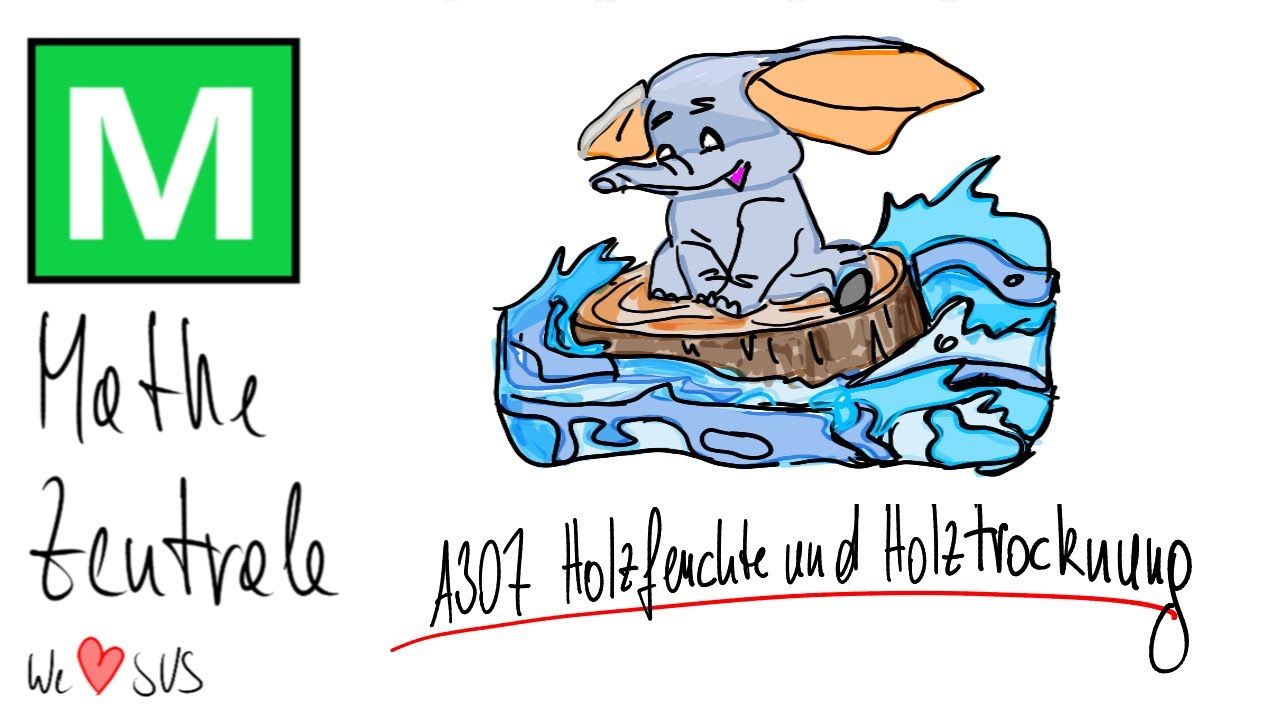 A307 Heulzfeuchte und Holztrocknung