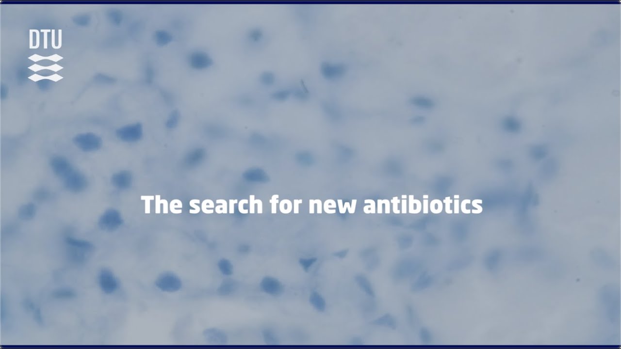 DTU: The search for new antibiotics