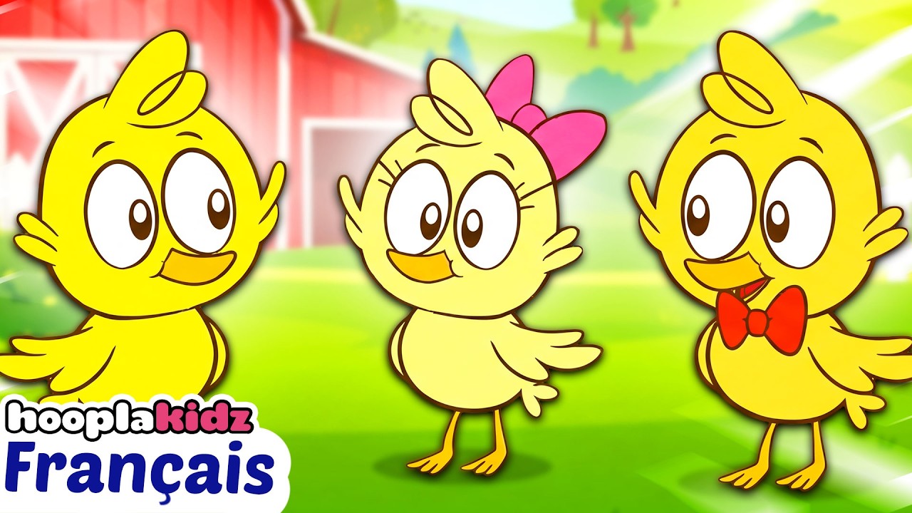 Les Petits Poussins 🐤 Comptines pour bébé | HooplaKidz Franҫais