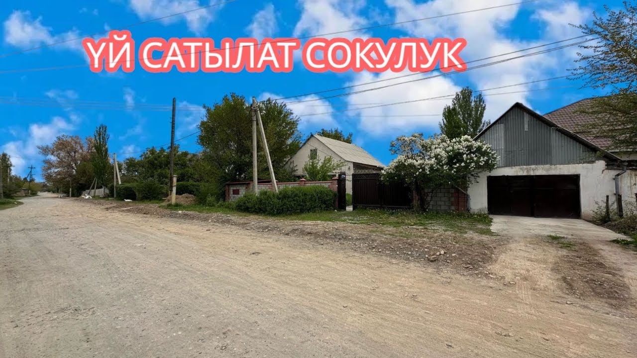 УЙ САТЫЛАТ СОКУЛУК РАМАНОВКА 2025