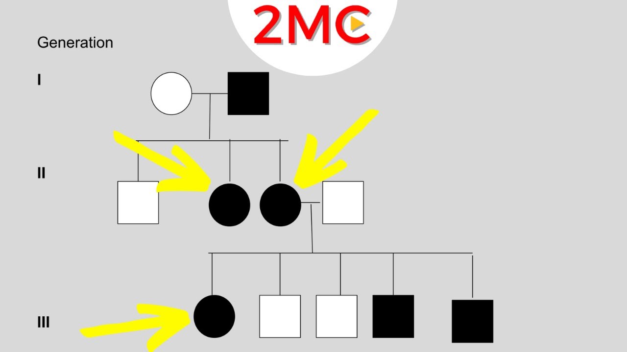 Inheritance Patterns | Reading Pedigree Charts