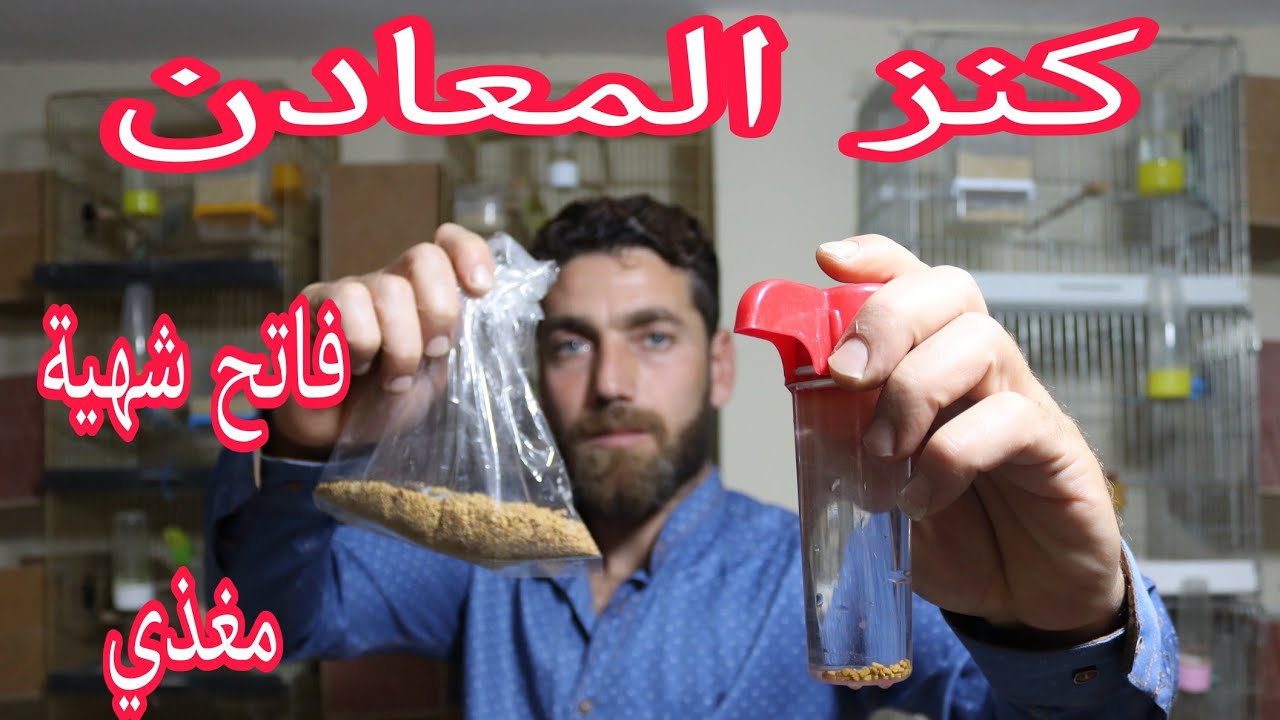 محلول فاتح الشهية والمغذي الاول في عالم الطيور كنز المعادن