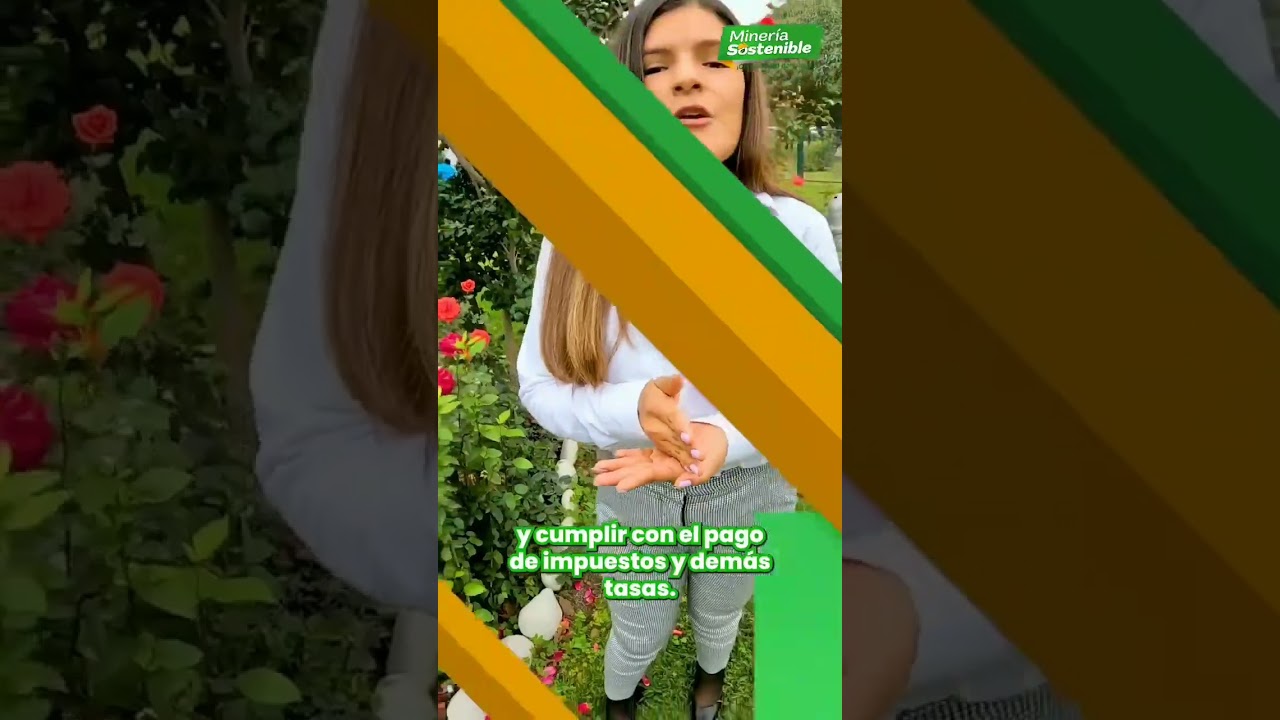 &iquest;Cu&aacute;l es la funci&oacute;n del MINEM?