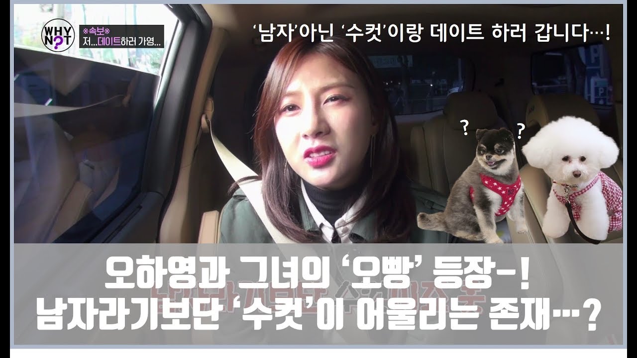 오하영의 '오빵' 등장! 남자가 아닌 수컷이라는 오빵..? [와이낫 WHY NOT? 2회]