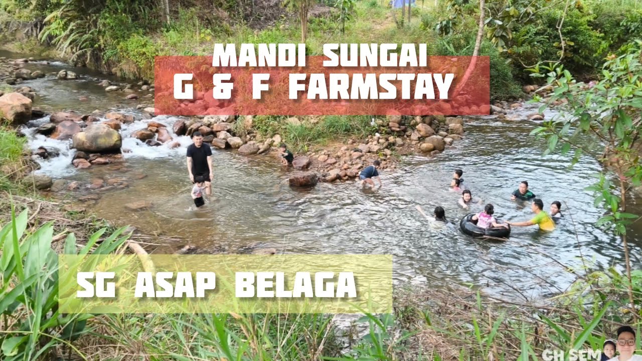 KENYANG NGABANG // Bawa anak-anak mandi sungai G&F FarmStay Lekak Dian Asap Belaga
