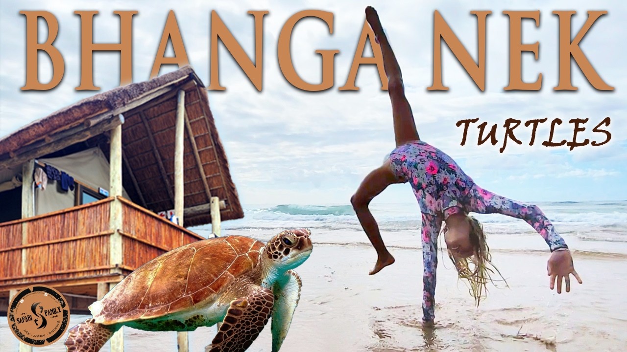 Bhanga Nek Turtles! Beach Camp Splendour