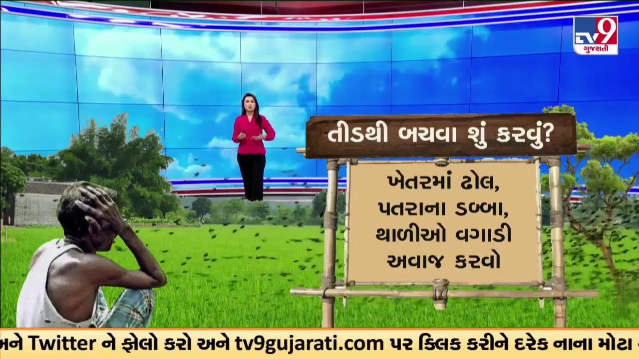 ખેડૂતોના માથે હવે ઉડતી આફતનો આતંક જુઓ LIVE