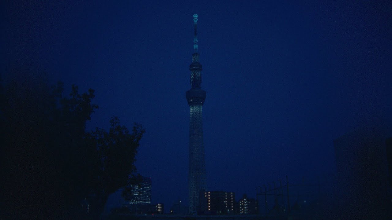 Lumix S1ii Open Gate Film Emulation Test (CineVista 210)