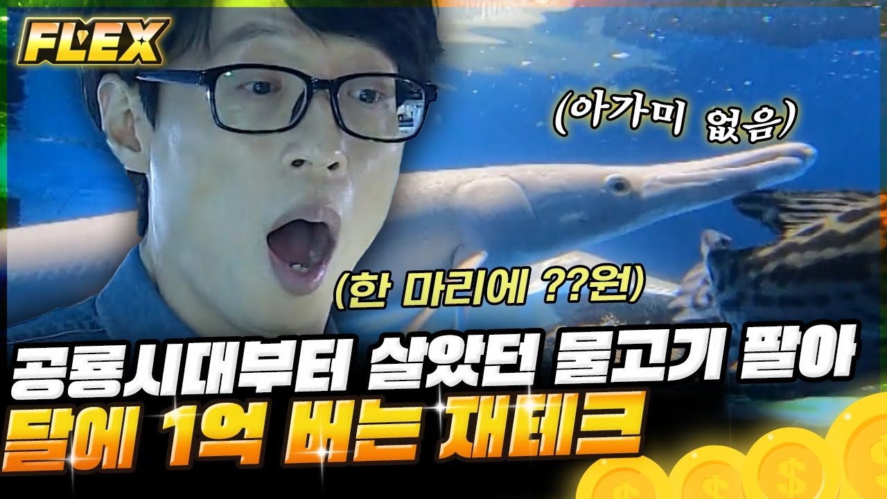 [#식스센스3] 살면서 이런 물고기 봤어?😲 고대 특수 관상어 재테크로 최대 월 수익 1억 원을 번다? | #FLEX