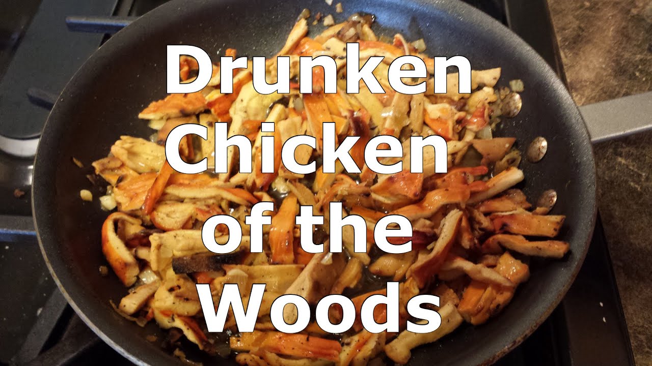Drunken Chicken of the Woods Mushroom