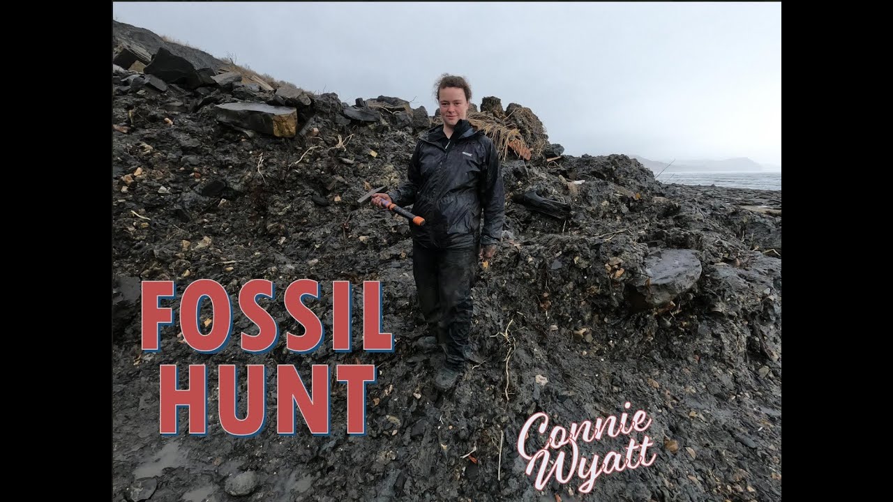 20th Century Tip Waste Fused to Jurassic Fossil