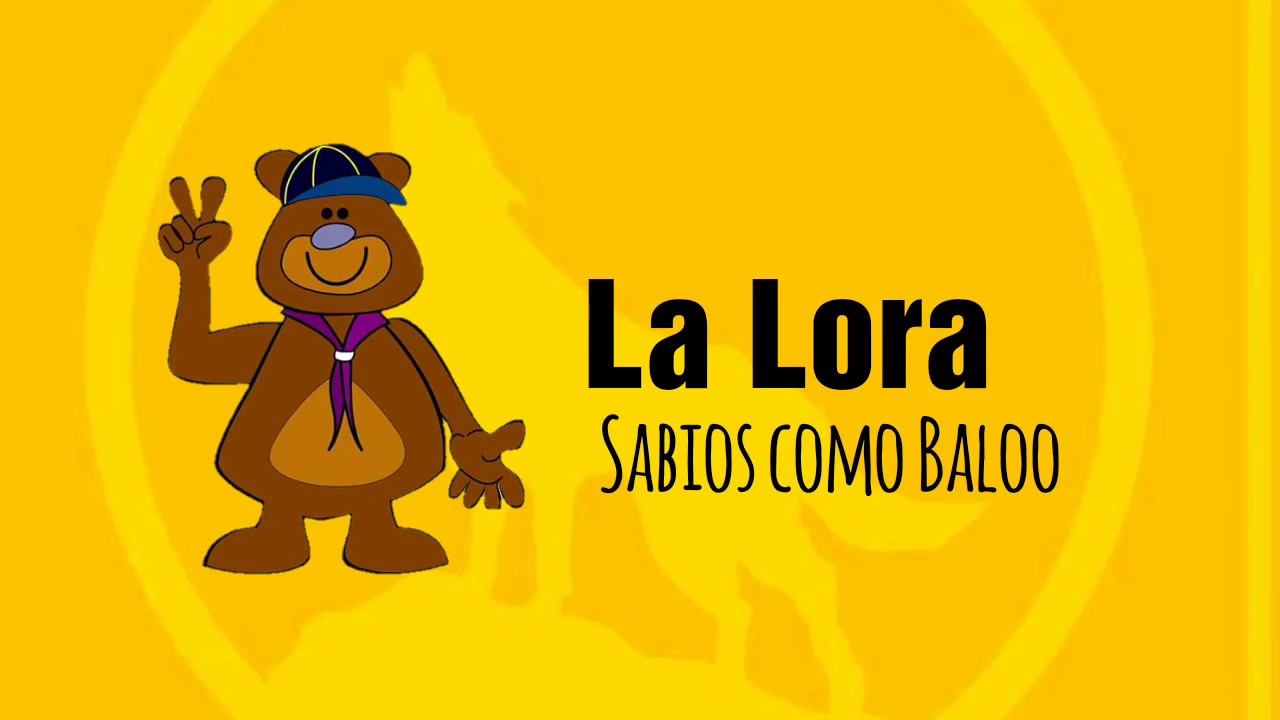 Canciones Scouts - La Lora - Sabios como Baloo