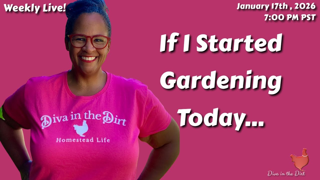 If I Had to Start Over: What I Wish I Knew When Starting Gardening