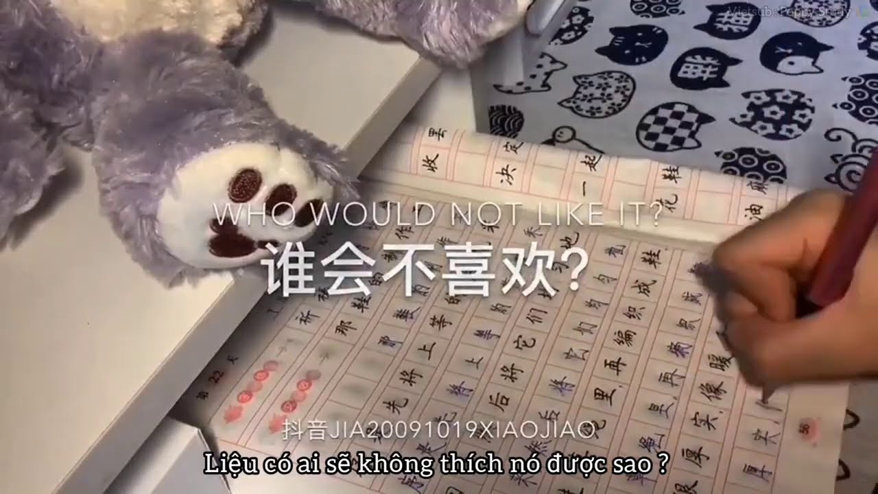 #10 [ Study Account 💌 Vietsub ] |🌼 Cậu có từng nghĩ đến tương lai chưa ? 🌼| Poppy Study 📚