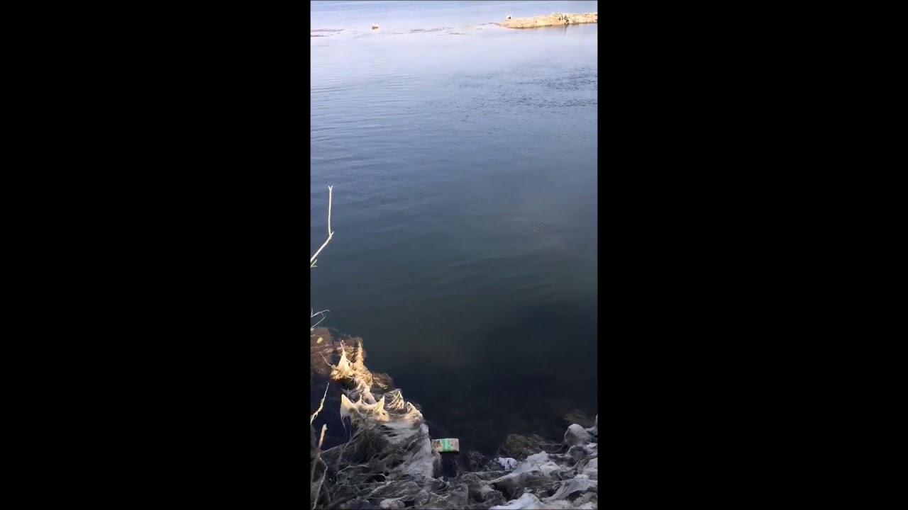 MOLLAKÖY GÖLETLERİ SAKARYA NEHRİYLE BİRLEŞTİ