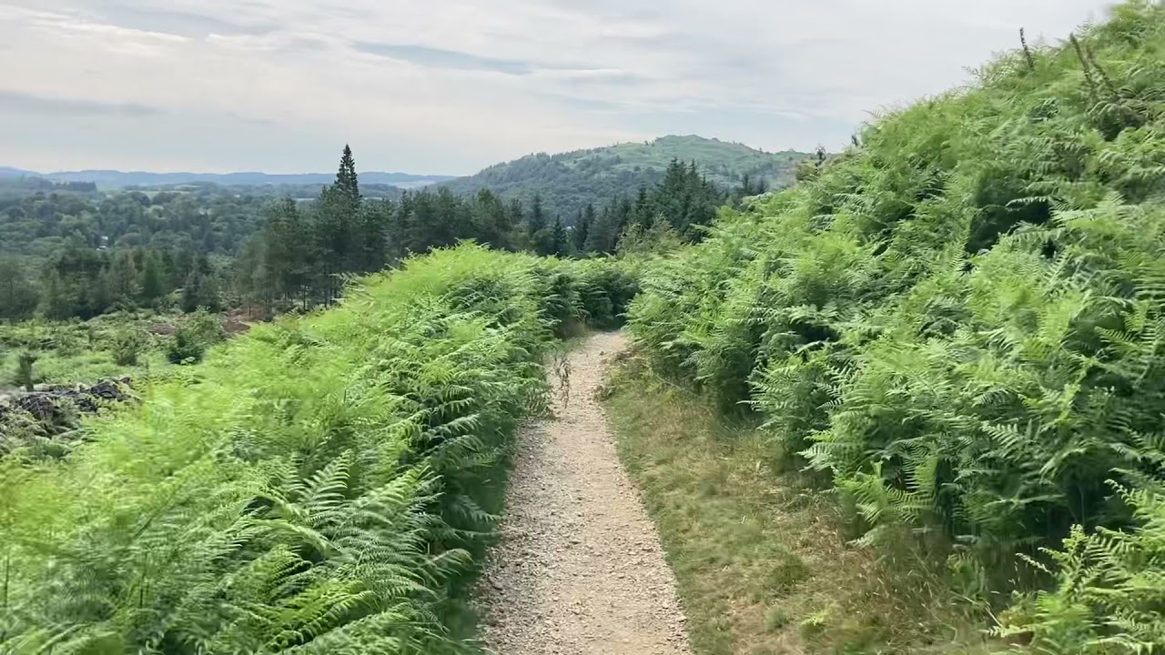 Loughrigg Fell
