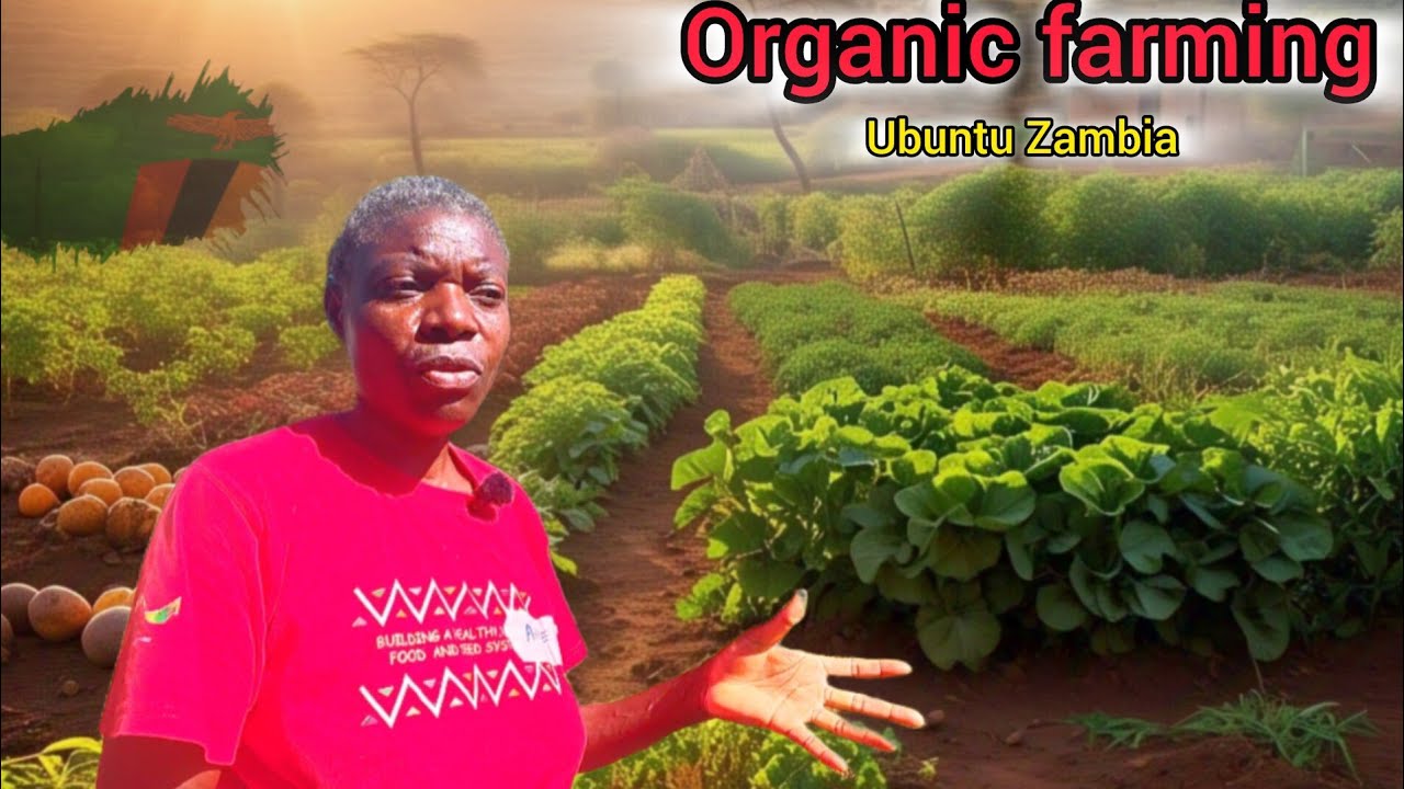 How This Zambian farmer built a paradise using Permaculture farming principles // Ubuntu Zambia