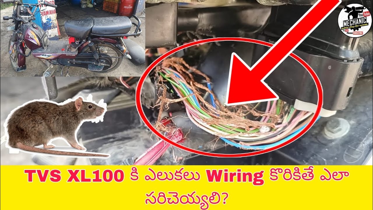 Tvs XL100 Wiring Rats Problem Solution In Telugu||Kadthal Village Bike Mechanic
