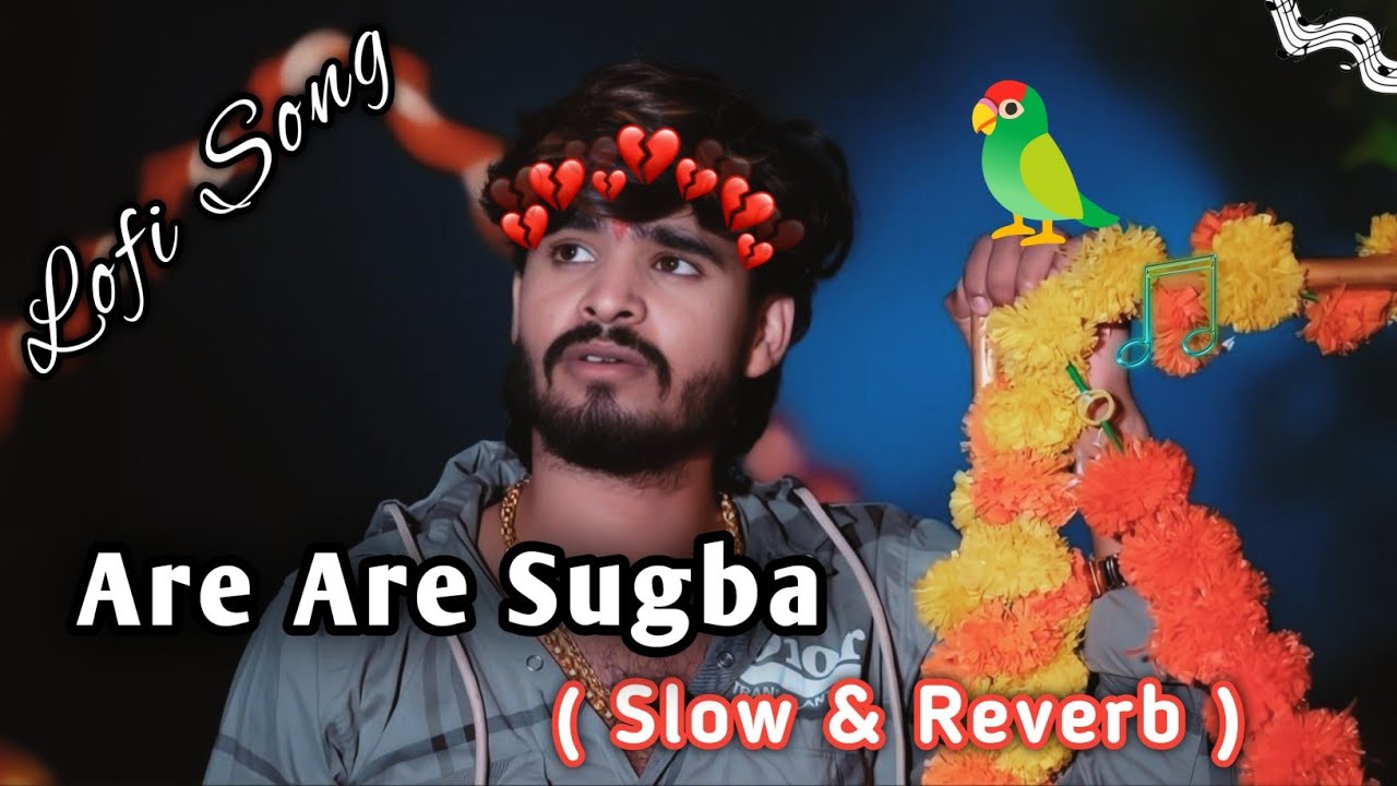 Aashish yadav || Are Are Sugba 😢 || अरे अरे सुगबा || Aashish yadav sad 😭 lofi song || sad song ||
