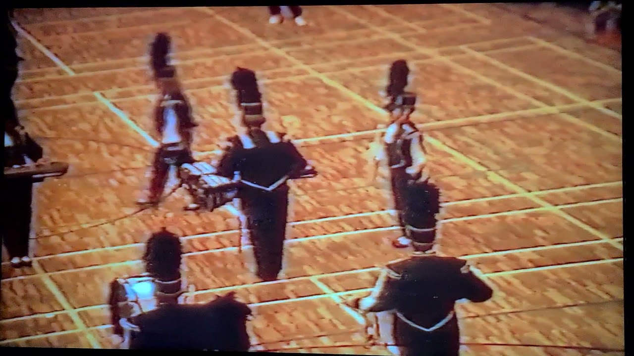 nova birds 1992
