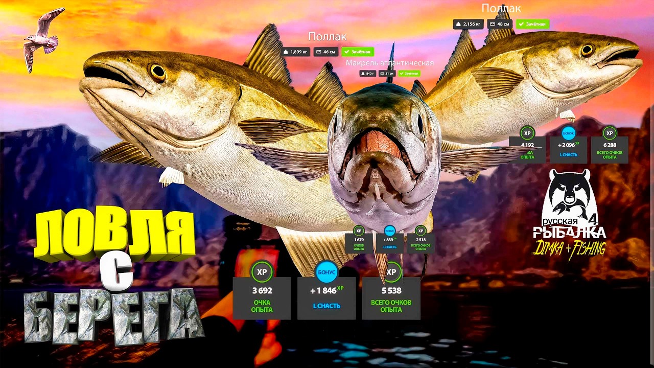 Русская рыбалка 4. 🎣🦈 Норвежское море 🧜‍♂️ 🐋🐠🐋💦 ЛОВЛЯ с БЕРЕГА 👀