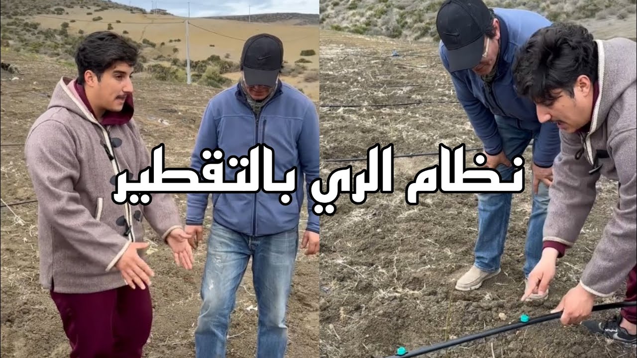 شاهد أخي الفلاح طريقة تركيب نظام الري بالتقطير بطريقة صحيحة وفعالة