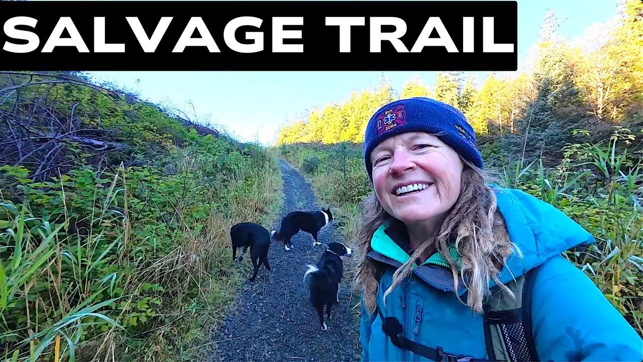 Exploring a Logged Trail With a Hidden Past!